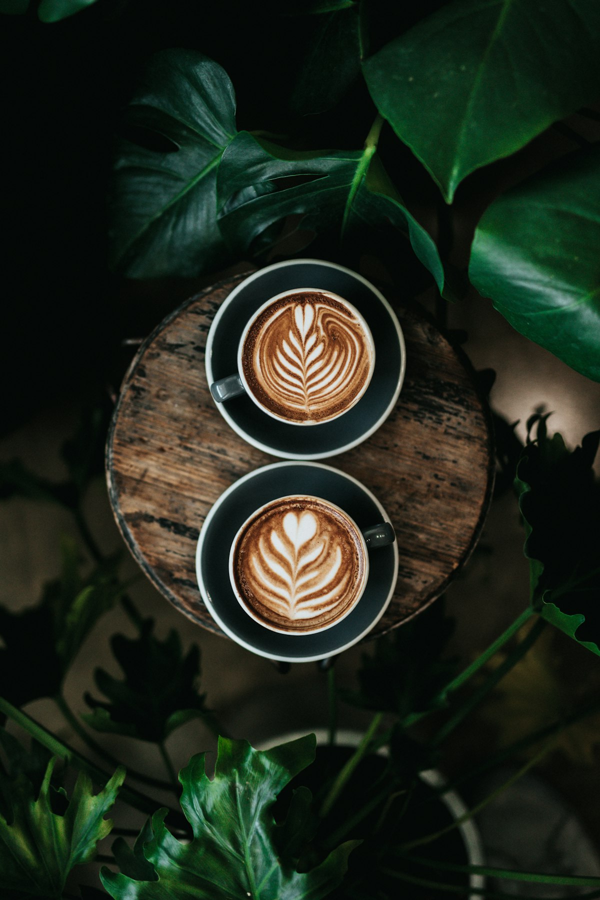 Ресторан Кофейня Engineer Coffee в Красной Поляне — фото интерьера и блюд